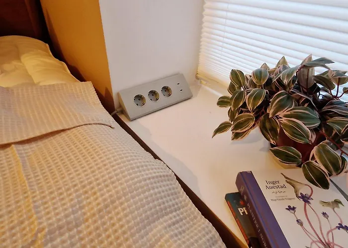 Semesterbostad King Bed Renovated And Cozy Near Bryggen *