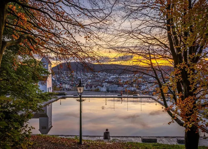 King Bed Renovated&cozy Near Bryggen